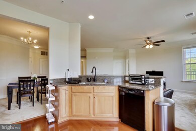 23620 Overlook Park Dr unit 201, Clarksburg, MD 20871 - photo 5