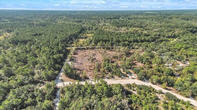 1370 Hillside Dr, Claxton, GA 30417 - photo 5