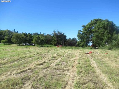 0 Lower Kimo Dr unit 26-A 380082, Kula, HI 96790 - photo 2