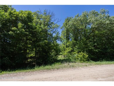 2 - Driveway
