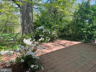 1601 Mount Eagle Place, Alexandria, VA 22302 - photo 5