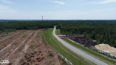 7199 Highway 99c, Brunswick, GA 31565 - photo 6