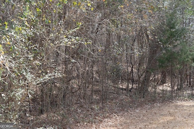 LOT 71 Monticello Rd, Eatonton, GA 31024 - photo 5