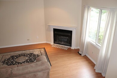 Wood Burning Fireplace with mantel