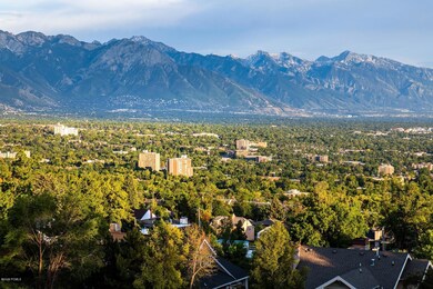 Mountain Views