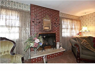 gas fireplace (gas start)