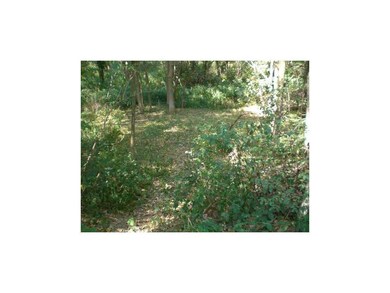 Yard.