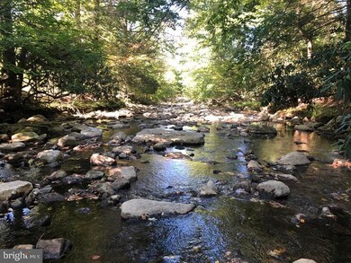 0 100 Jones Hollow Rd unit WVGT103016, Mount Storm, WV 26739 - photo 2