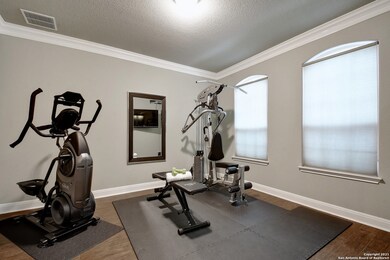 3819 Sweet Olive, San Antonio, TX 78261 - photo 5