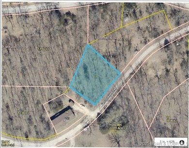 Lot 32 Forest Hills Dr, Lake Ozark, MO 65049 - photo 2
