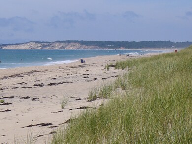 0 Black Point Beach Lot, Chilmark, MA 02535 - photo 6