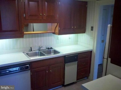 117 E Dover St unit 306, Easton, MD 21601 - photo 4