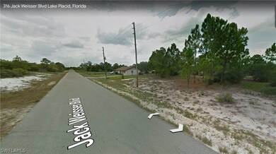 316 Jack Weisser Blvd, Lake Placid, FL 33852 - photo 4