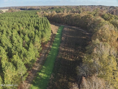 0 Paradise Rd, Bentonia, MS 39040 - photo 6