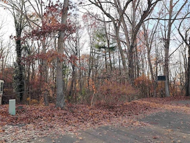 TBD Overlook Ln, Radford, VA 24141 - photo 2