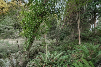 0 Ocean Blvd unit 220210147, Coos Bay, OR 97420 - photo 3