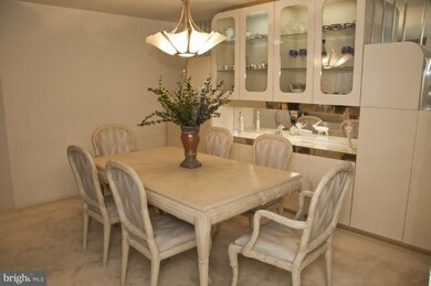 3011 Fallstaff Rd unit 408A, Baltimore, MD 21209 - photo 7