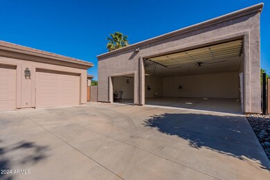 5-web-or-mls-Hackamore-5