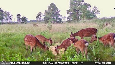 2936 Lakesville Rd, Church Creek, MD 21622 - photo 2