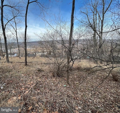 TBD Hummingbird Ln, Capon Bridge, WV 26711 - photo 3