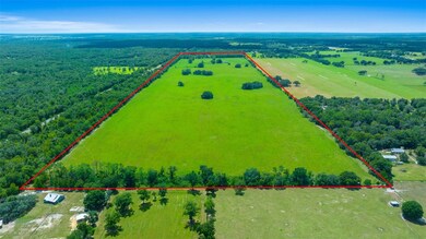 19355 SW 25th Place, Dunnellon, FL 34431 - photo 5