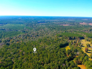 TBD County Road 3568, Woodville, TX 75979 - photo 4