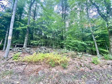 Lot 1 Gailey Hill Rd, Lake Luzerne, NY 12846 - photo 7