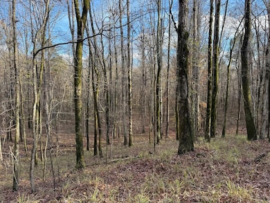 San Roc Rd, Grenada, MS 38901 - photo 4