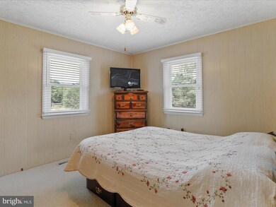 1981 Salem Church Rd, Stephens City, VA 22655 - photo 7