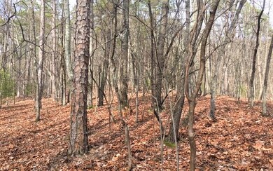 LT 15 Pinson Ln, Ellijay, GA 30540 - photo 2