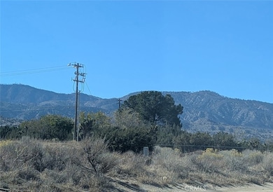 View of Wrightwood Mountains