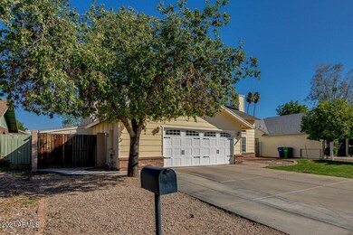 Frontyard