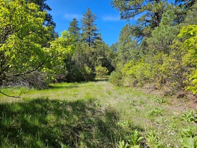 0 Chipmunk Dr unit B46 23-635, Trinidad, CO 81082 - photo 4