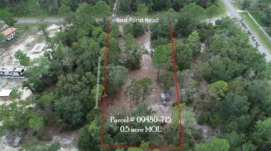 912 Bird Pond Rd, Steinhatchee, FL 32359 - photo 7