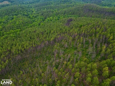 0 Cr 77, Ashland, AL 36251 - photo 5