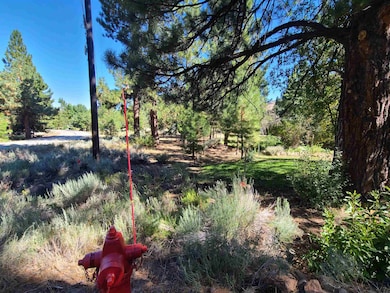 598 Longhorn Dr, Loyalton, CA 96118 - photo 6