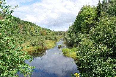 ON Cth P unit 37.90 Ac., Argonne, WI 54511 - photo 2