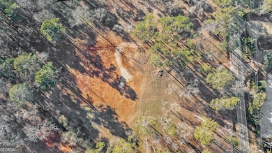 113 Hickory Flat Rd, Milton, GA 30004 - photo 6