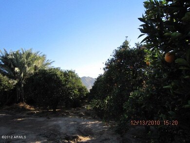 View of San Tan Mountains from backyard