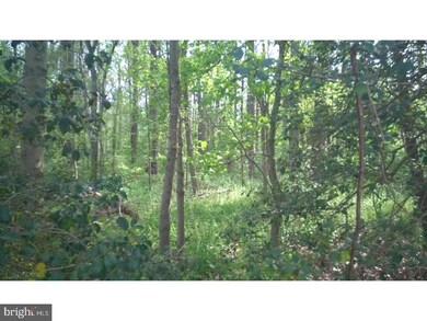 L:30 03 Mickels Mill Rd, Quinton, NJ 08302 - photo 3