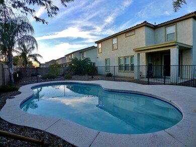 Pool Oasis