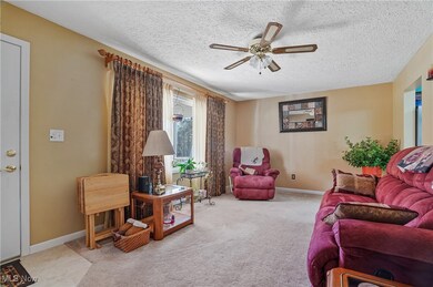 8291 State Route 88, Ravenna, OH 44266 - photo 2