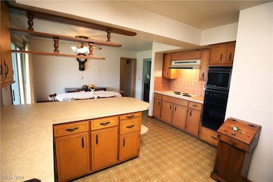 41984 Debra Dr, Elyria, OH 44035 - photo 4