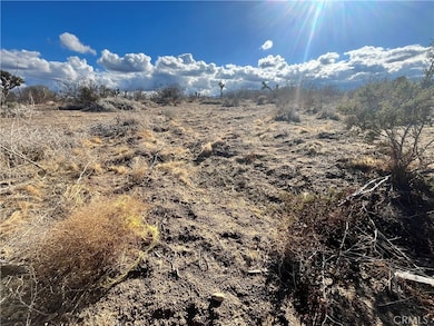 1 Greasewood Ln, Phelan, CA 92371 - photo 2