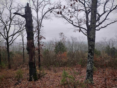 285 Rippling Shoals Ln, Melbourne, AR 72556 - photo 5