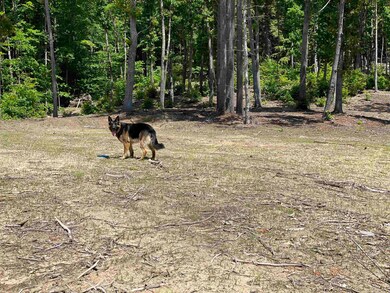 0 Jack Russell Rd unit 45-3 4913706, Ossipee, NH 03882 - photo 5