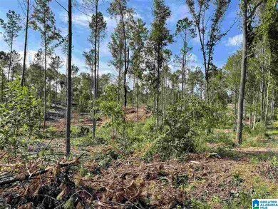 3619 County Road 30 unit Tract 2, Roanoke, AL 36274 - photo 2