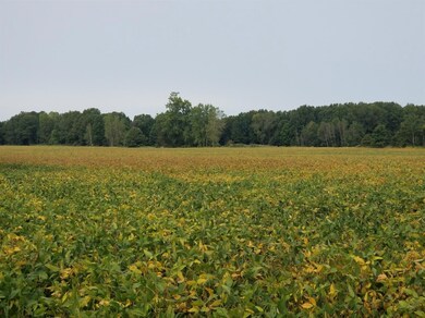 1 W 1000 N, Pines, IN 46360 - photo 5