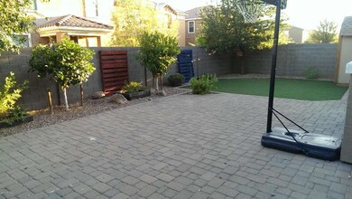 back yard 1