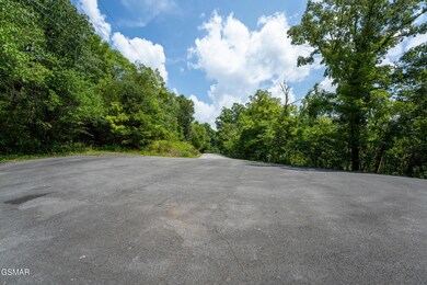 Lot 56 Blue Byrd Ln, Kodak, TN 37764 - photo 4